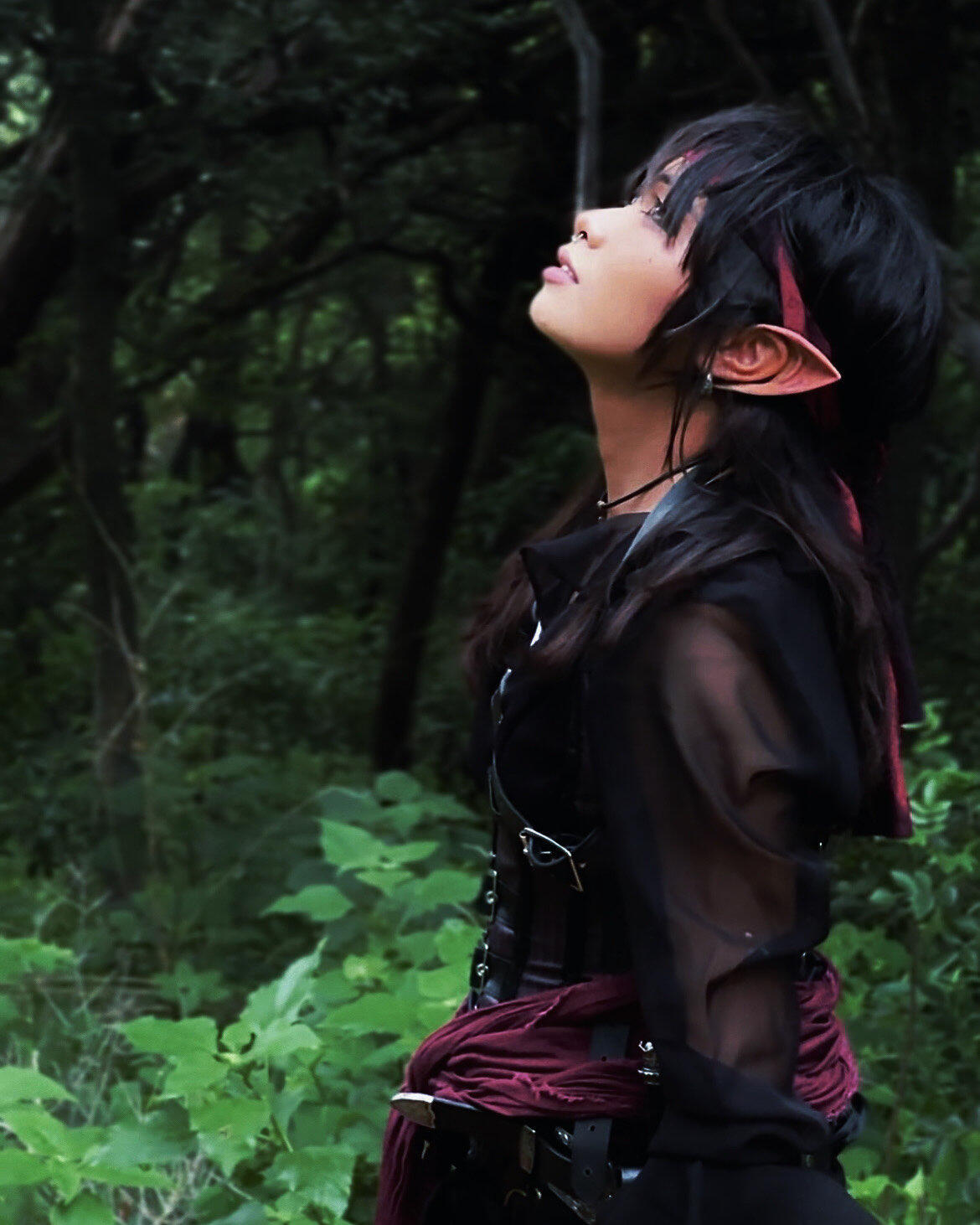 RenFest